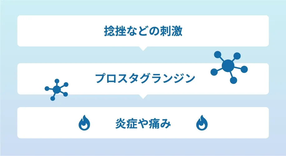 捻挫などの刺激、プロスタグランジン、炎症や痛み